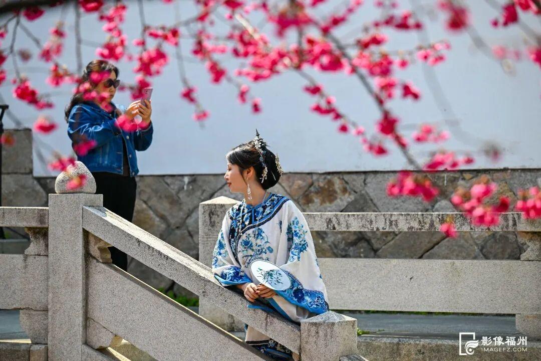 春日浪漫！福州这里上演鲜花“盛宴”