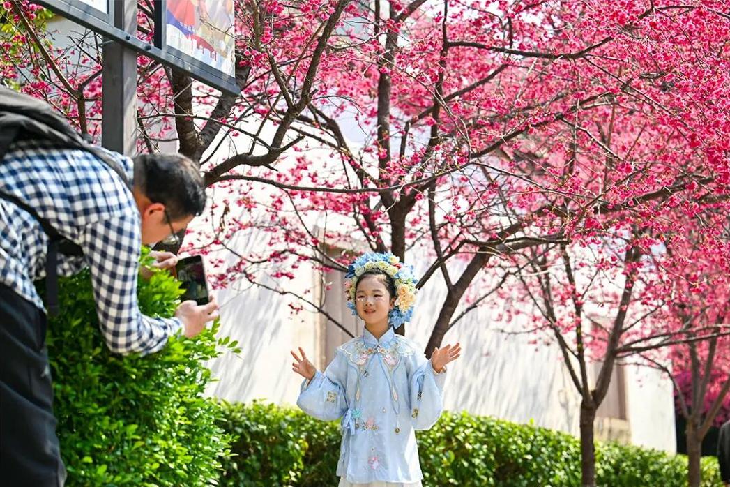 春日浪漫！福州这里上演鲜花“盛宴”
