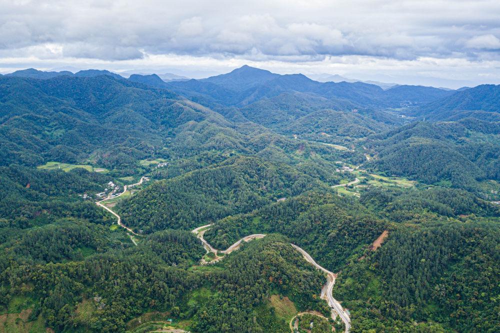 习近平总书记引领全党树立和践行正确政绩观
