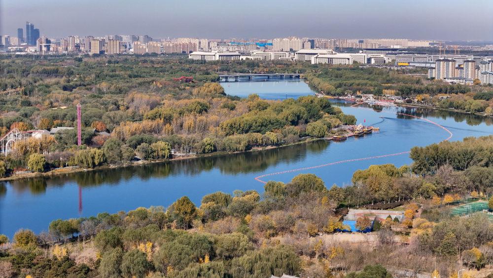 习近平总书记引领全党树立和践行正确政绩观