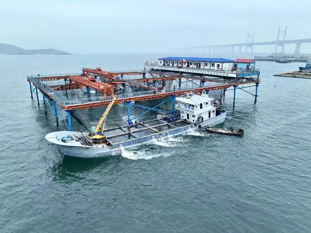 以海产“粮”，划洋为“仓”！福州新区（长乐区）再添“深海豪宅”