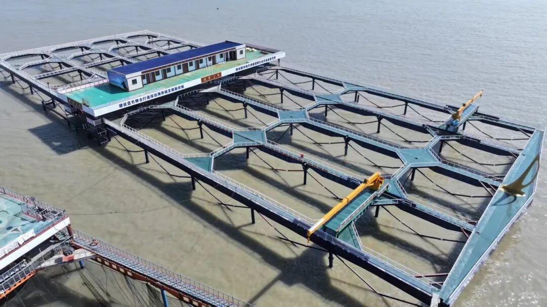 以海产“粮”，划洋为“仓”！福州新区（长乐区）再添“深海豪宅”