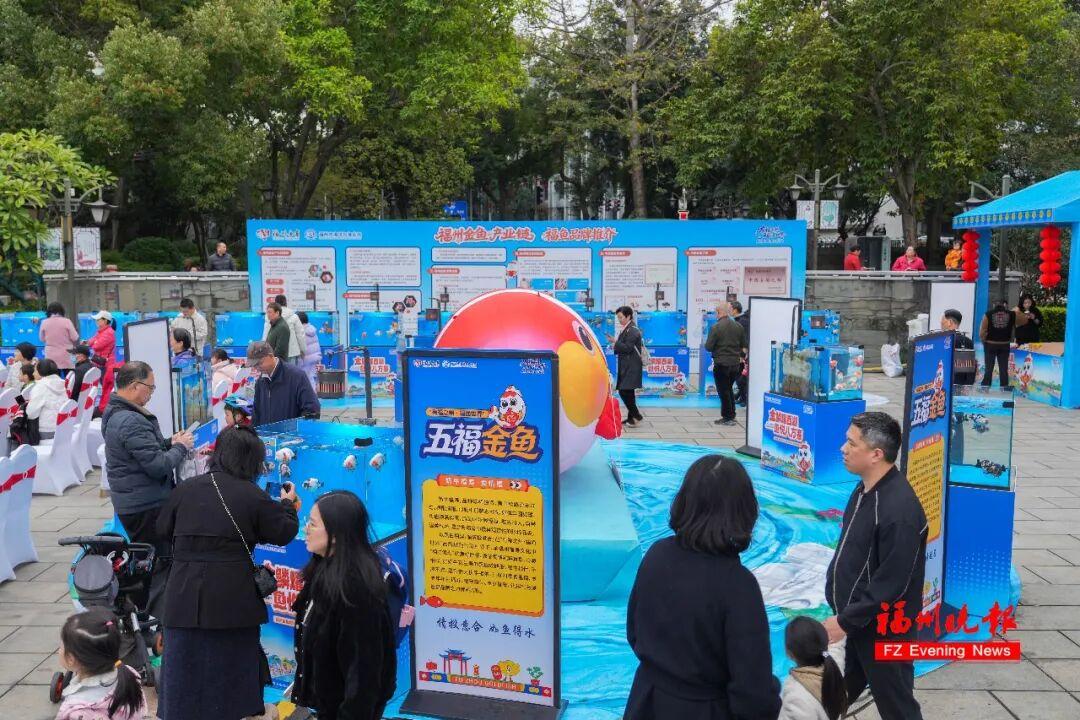 免费！福州西湖公园上新！五福金鱼来了！