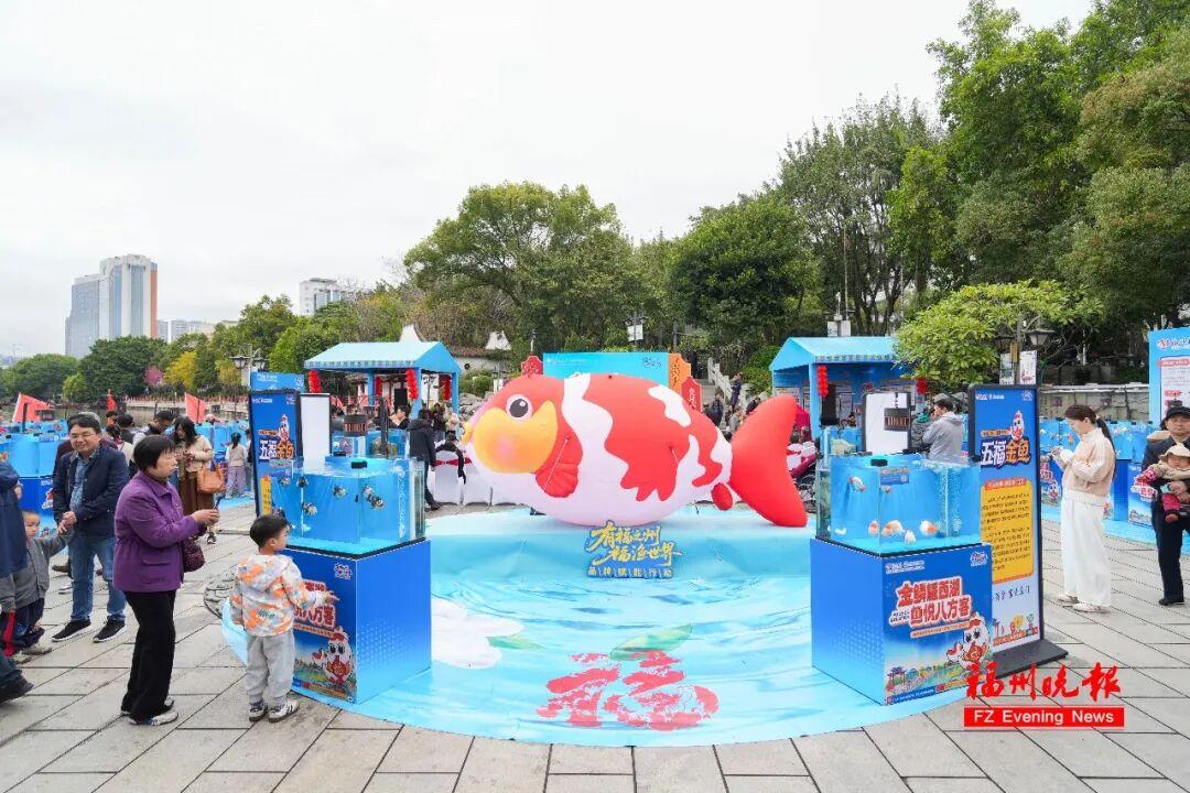 免费！福州西湖公园上新！五福金鱼来了！