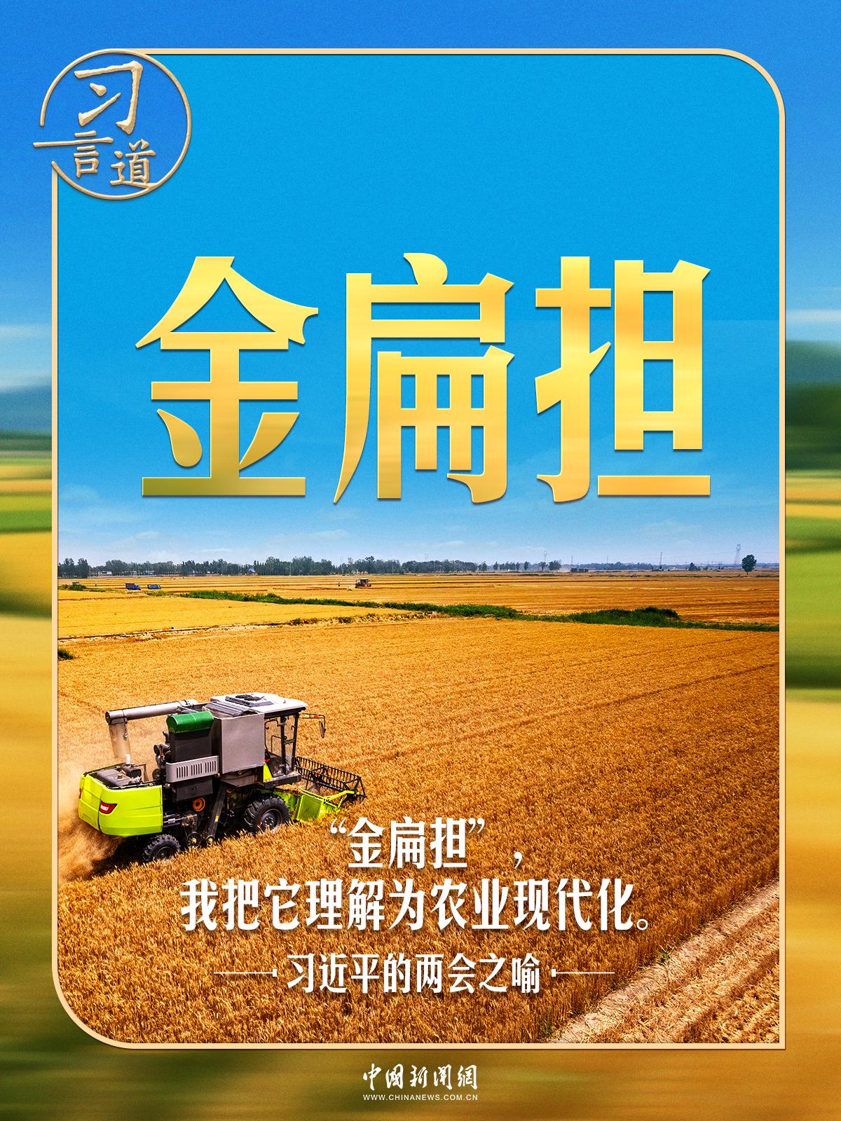 习近平的两会之喻｜“金扁担”，我把它理解为农业现代化