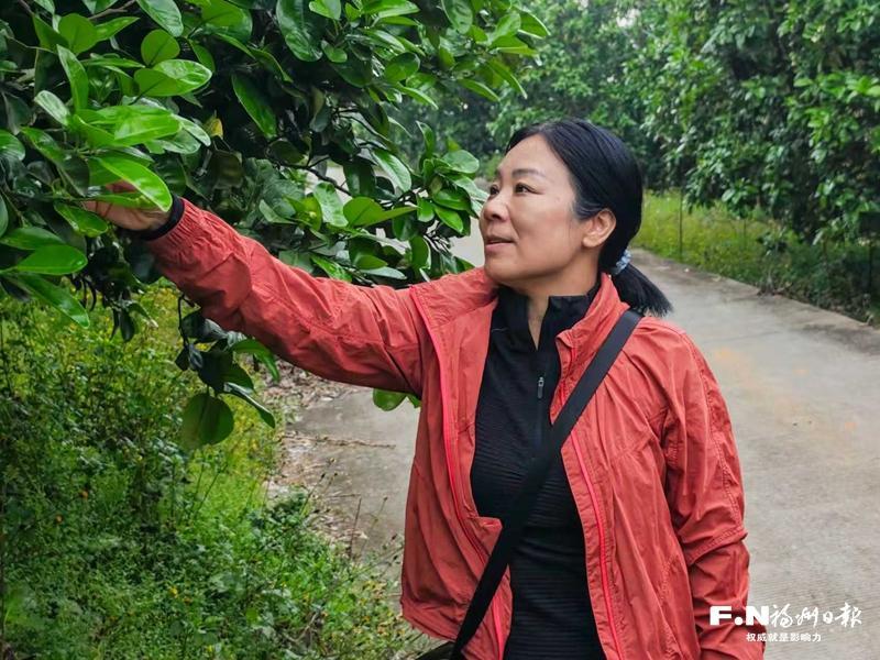 左海会客厅｜廖红：追根三十载，把论文写在八闽大地