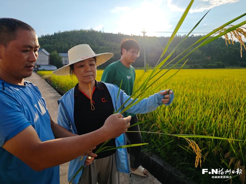 左海会客厅｜廖红：追根三十载，把论文写在八闽大地