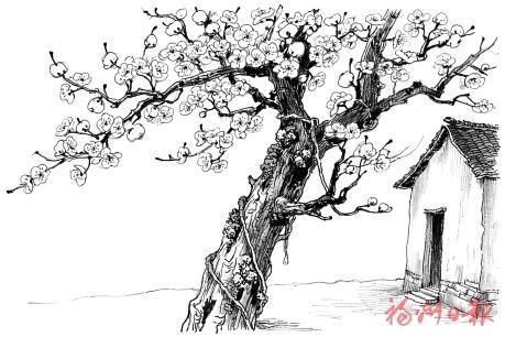 坊巷里弄｜一树梨花开