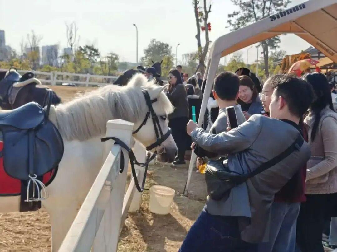 元宵节去哪儿?福州这份超强赏灯攻略收好 元宵节去哪儿?福州这份超强赏灯攻略收好