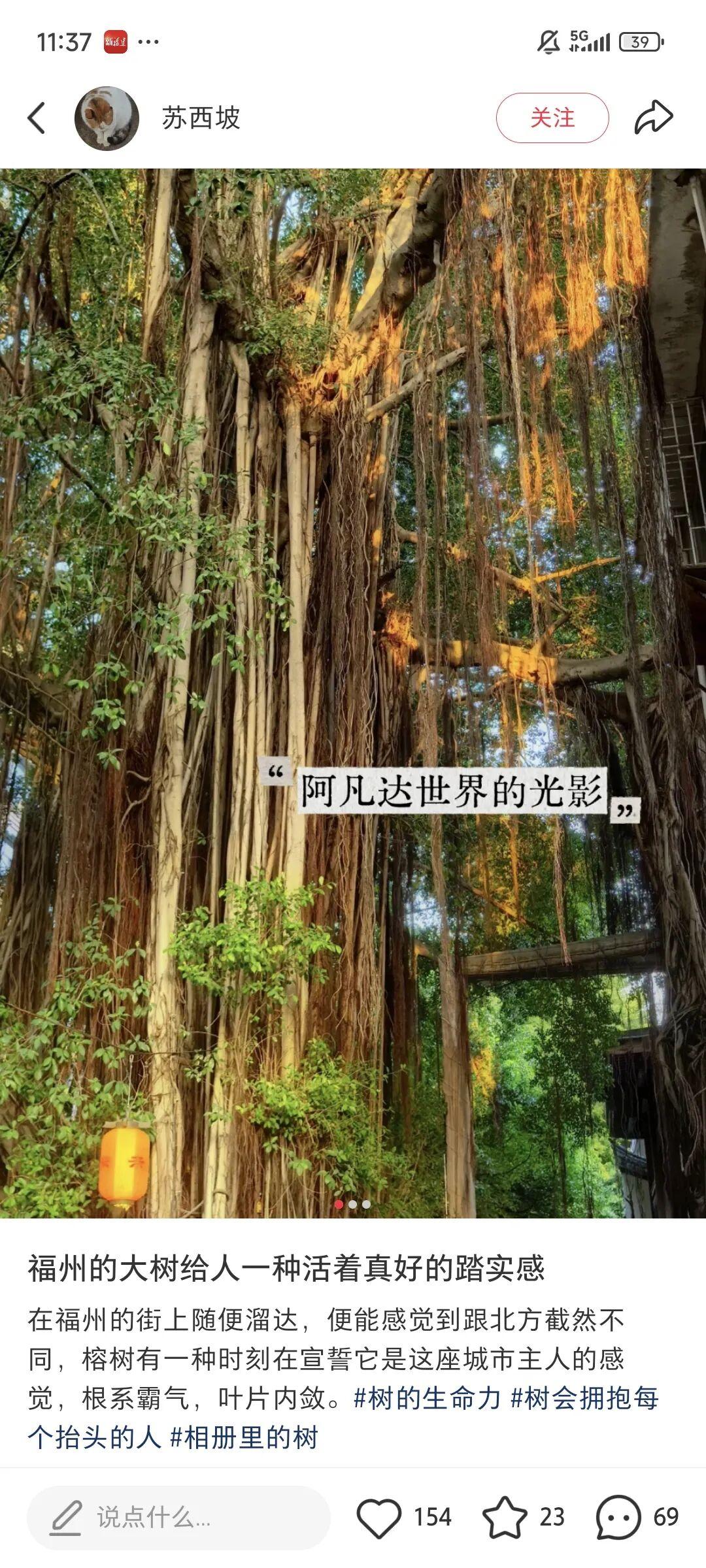 “人在工位，想念福州！”外地游客的“福式情话”是这样说的……