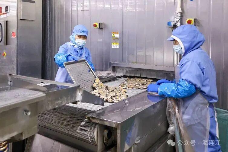 新春“开门红”，连江企业开足马力赶制“鲍”款！