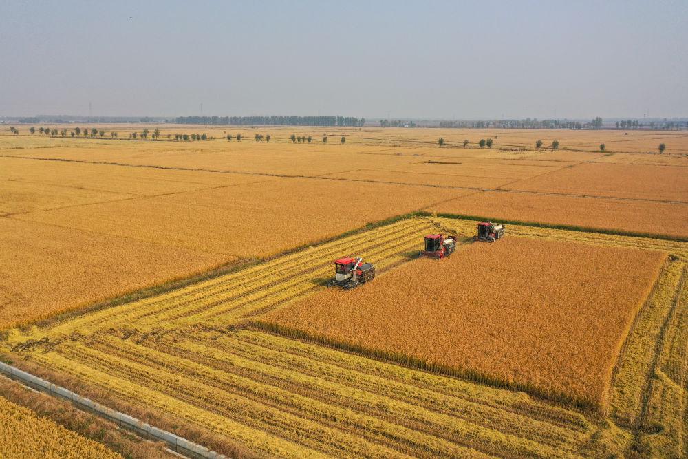 习近平总书记引领中国从脱贫攻坚迈向乡村全面振兴