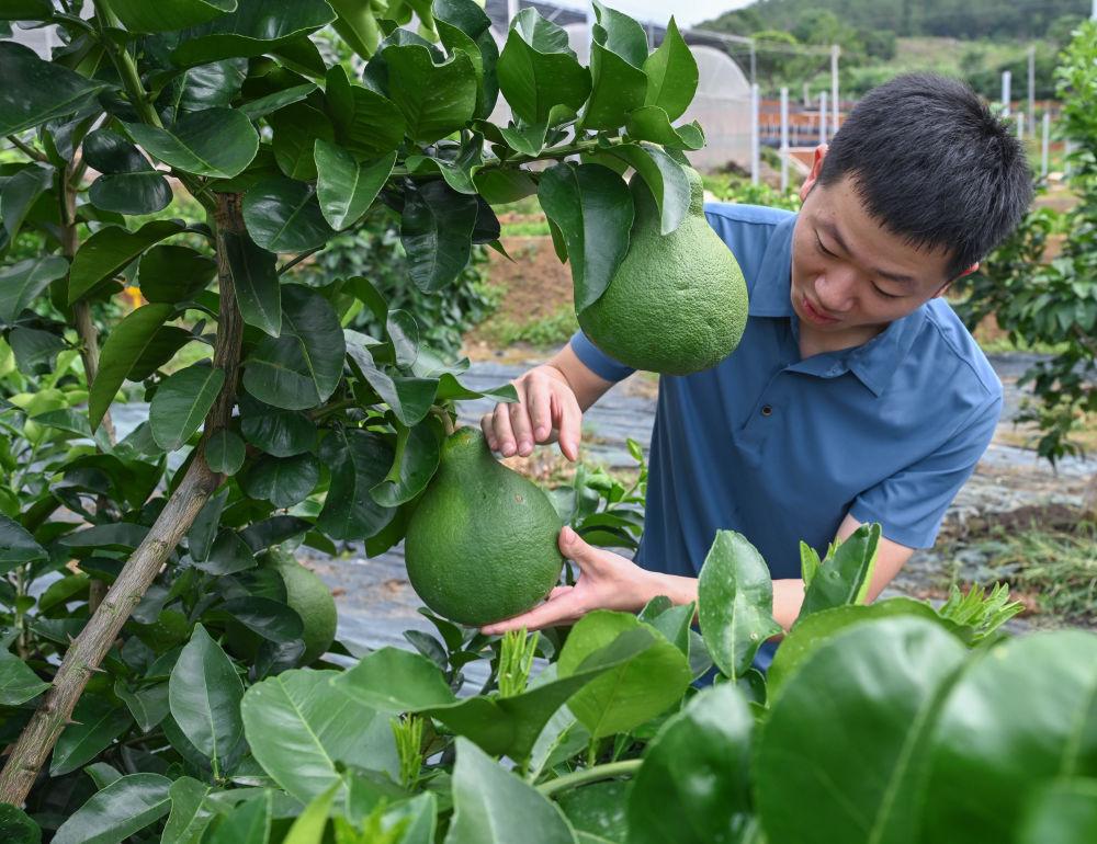 习近平总书记引领中国从脱贫攻坚迈向乡村全面振兴
