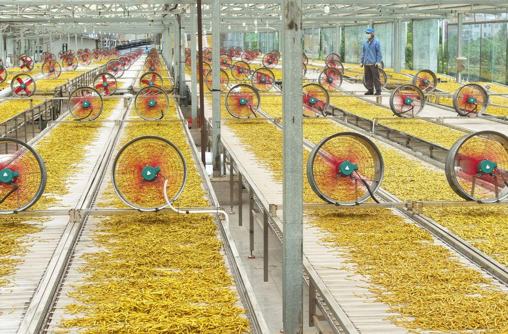 习近平总书记引领中国从脱贫攻坚迈向乡村全面振兴