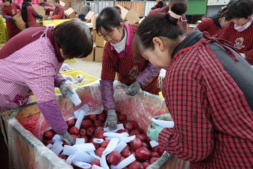 习近平总书记引领中国从脱贫攻坚迈向乡村全面振兴