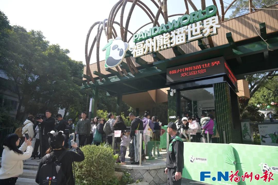 单月购票上限提升！福州熊猫世界优化入园规则