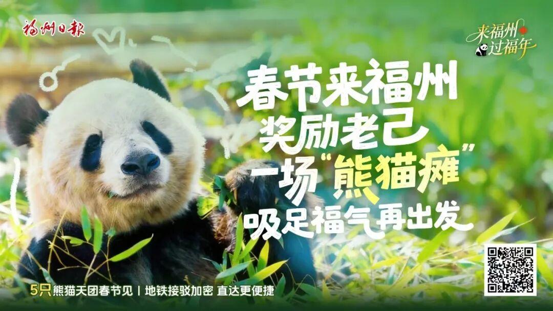单月购票上限提升！福州熊猫世界优化入园规则