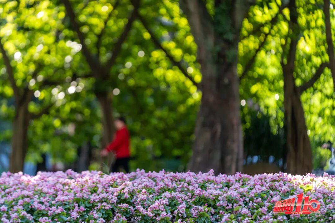 警惕！福建发布暴雨预警Ⅳ级！这些地区24小时累计雨量50～80毫米