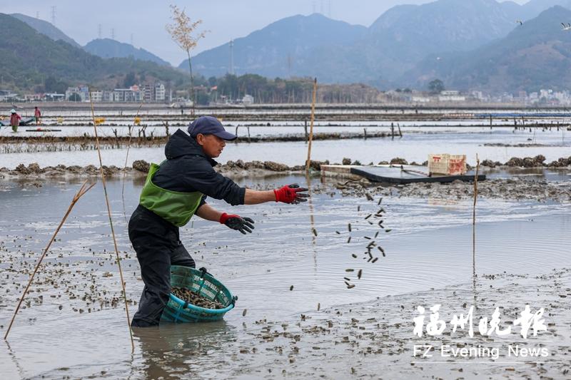 福州海陆春耕忙