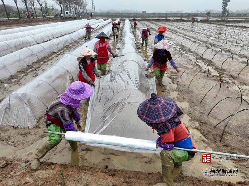 山海来讯｜“钱”景可期！福州田野奏响“春耕序曲”