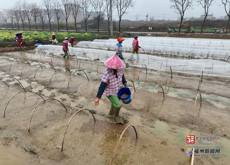 山海来讯｜“钱”景可期！福州田野奏响“春耕序曲”
