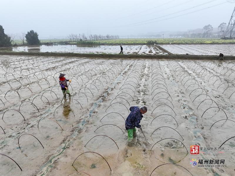 山海来讯｜“钱”景可期！福州田野奏响“春耕序曲”