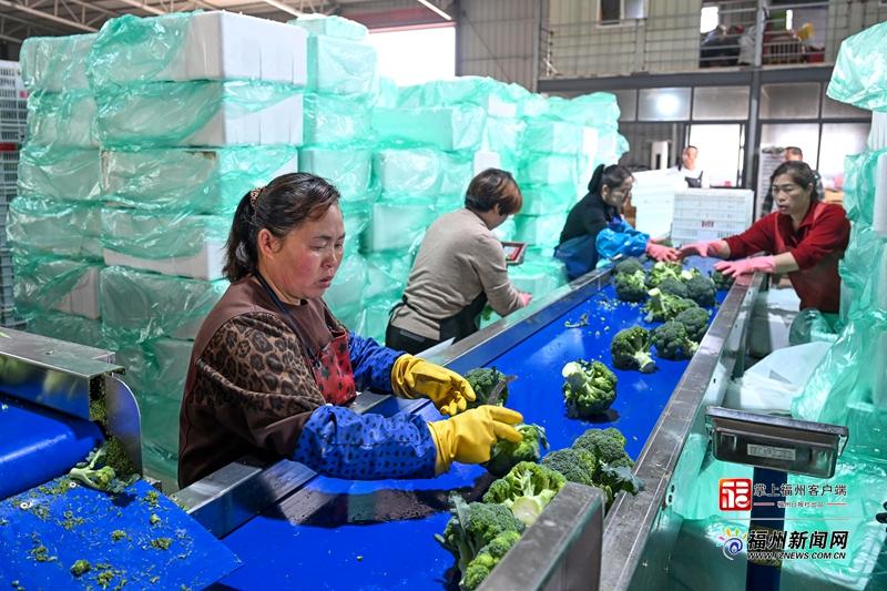 山海来讯｜“钱”景可期！福州田野奏响“春耕序曲”