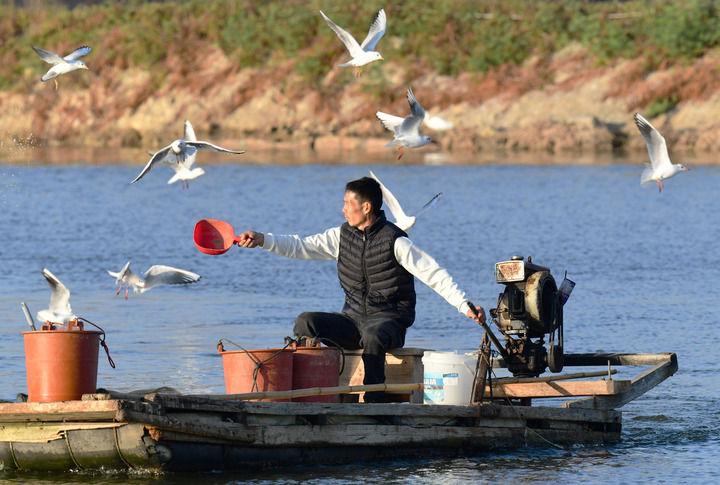 江山壮阔万象新——习近平总书记引领中国式现代化新征程