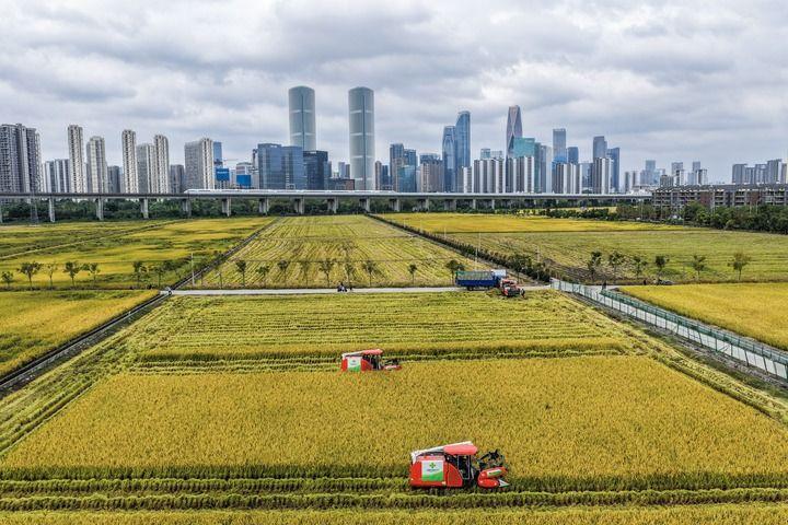 江山壮阔万象新——习近平总书记引领中国式现代化新征程