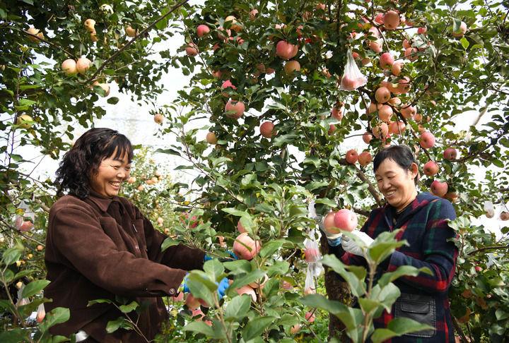 江山壮阔万象新——习近平总书记引领中国式现代化新征程