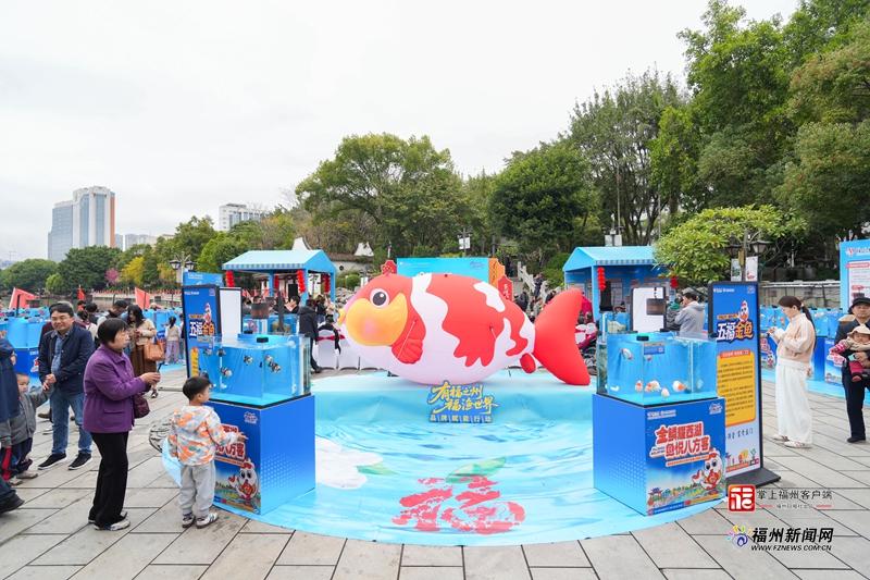 从新春“三部曲”看福州金鱼新动向