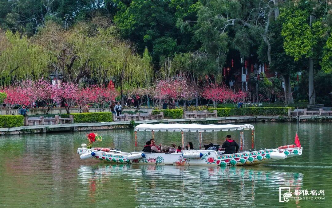 3月，赏花才是春日大事！