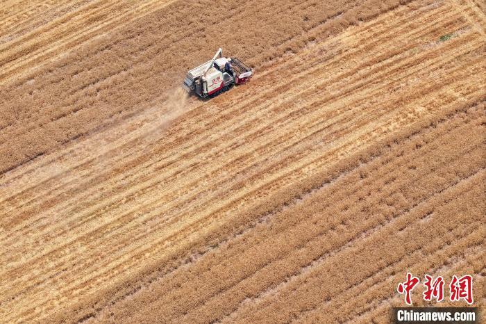 （两会·近观）习近平惊蛰时节话“三农”