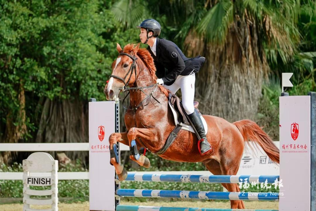 马年马尾赛马！第二届福州市马术锦标赛开赛