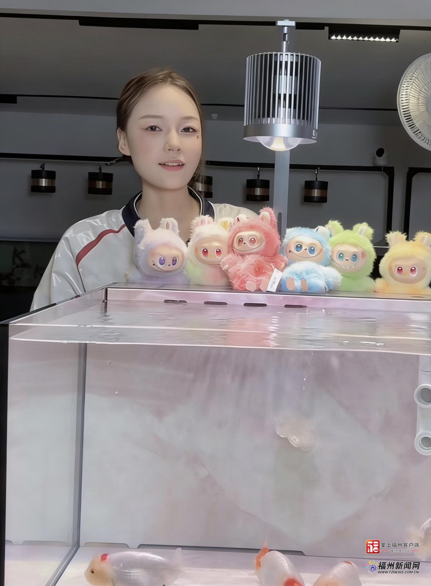 王俊南：为金鱼而来 想为金鱼代言