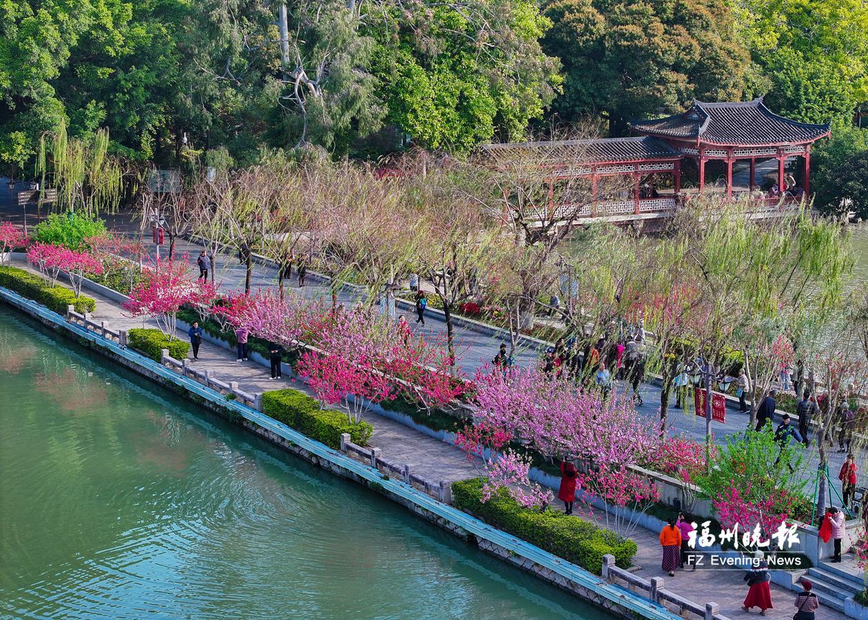 春日限定版！福州三月赏花地图来了