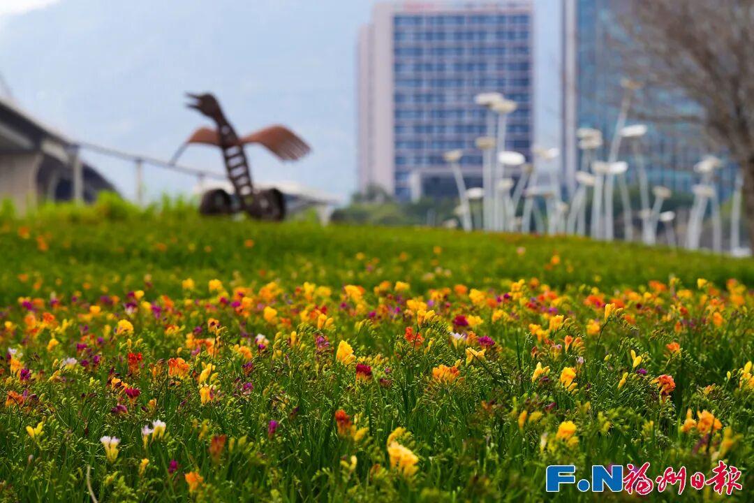 冷空气已“杀到”！降雨+大风，福州本周天气又反转……