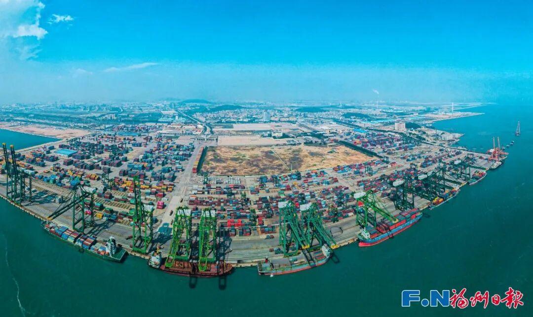 福州出台最新政策：新增此类远洋国际航线，一次性最高奖励800万元