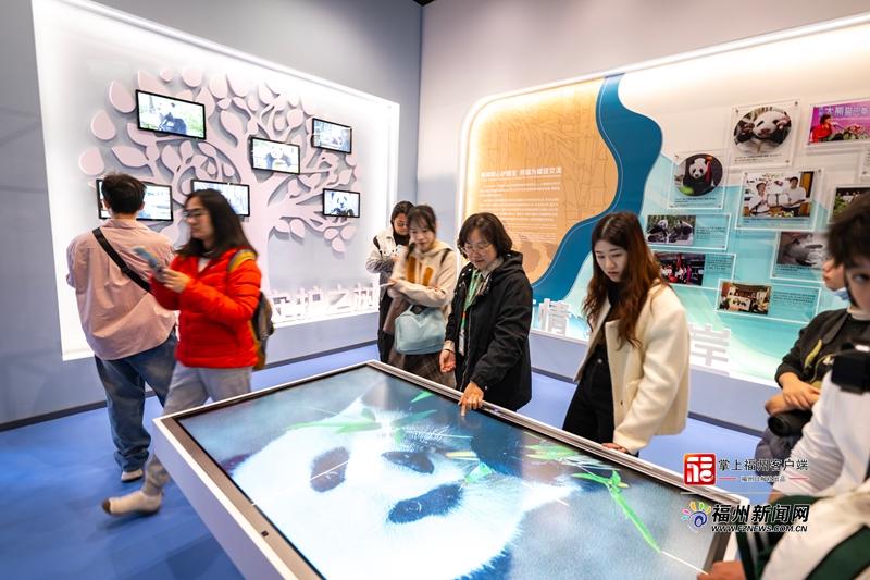 打造消费“三新”试点城市样板 福州已征集首批124个项目