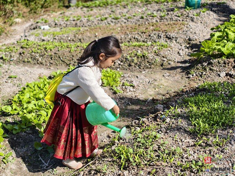 新消费｜福州“共享菜园”走红！年轻人爱上“租地种菜”