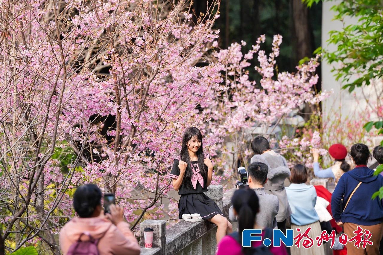 乌山春日限定！快约好友去打卡