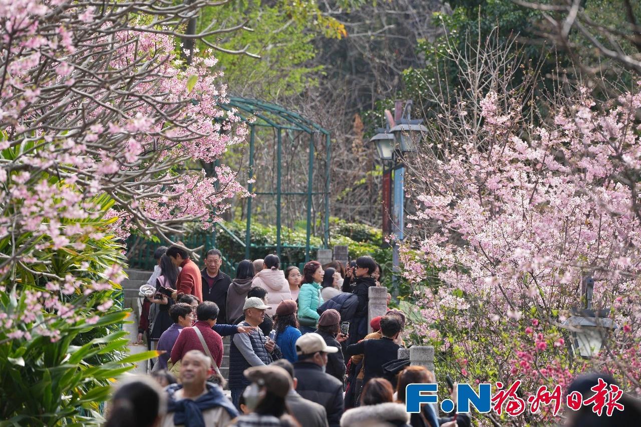 乌山春日限定！快约好友去打卡