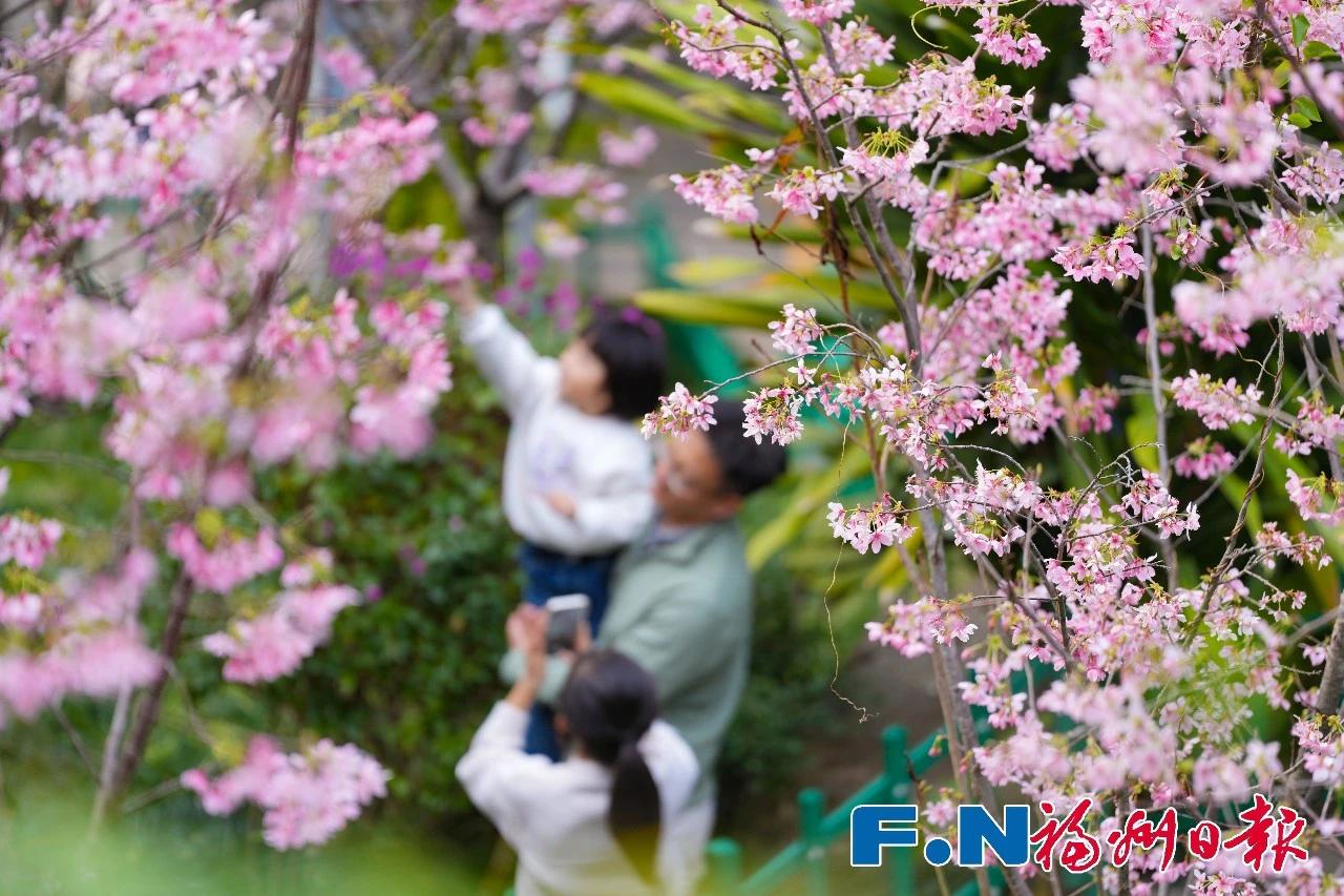 乌山春日限定！快约好友去打卡