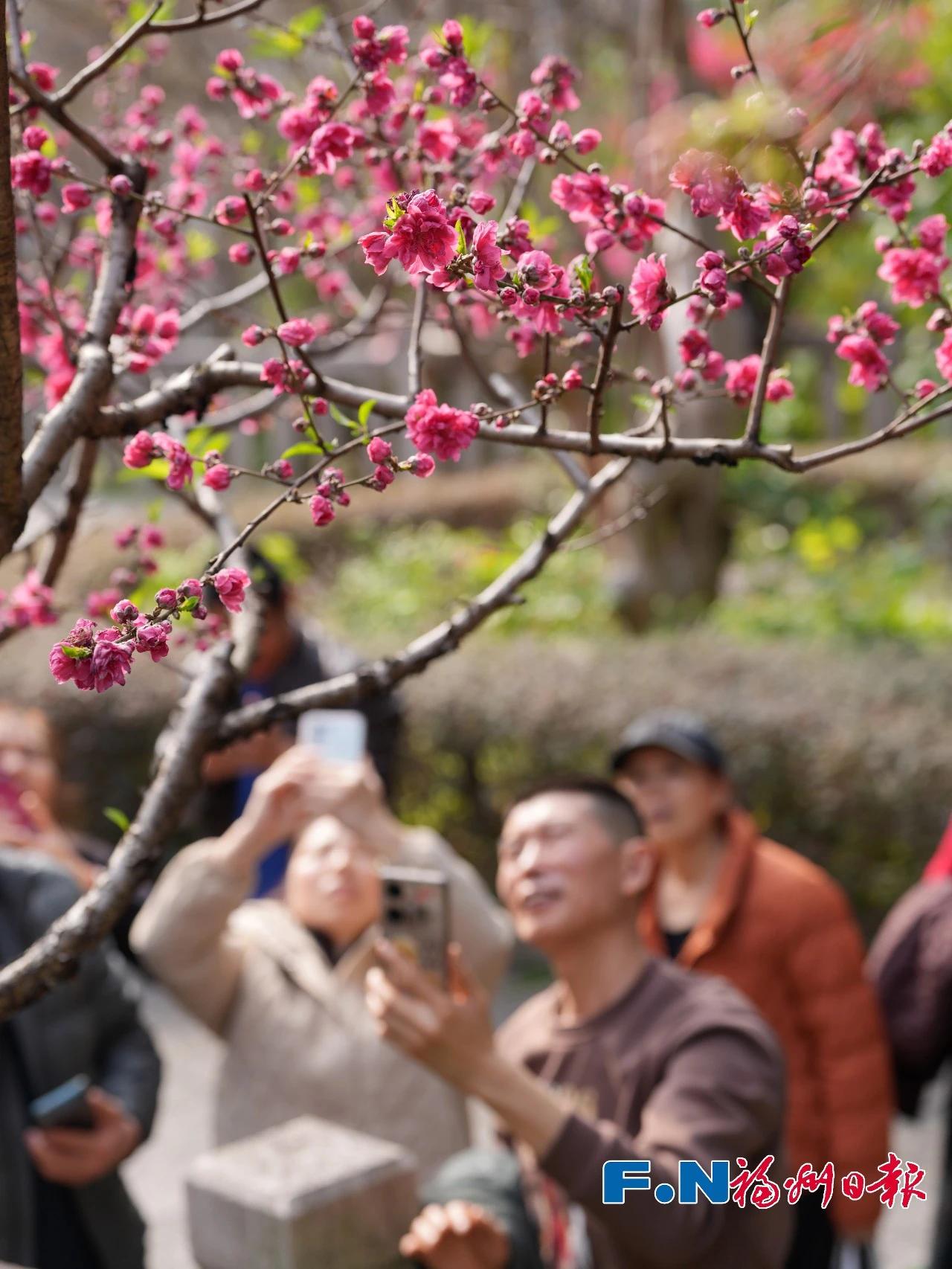 乌山春日限定！快约好友去打卡