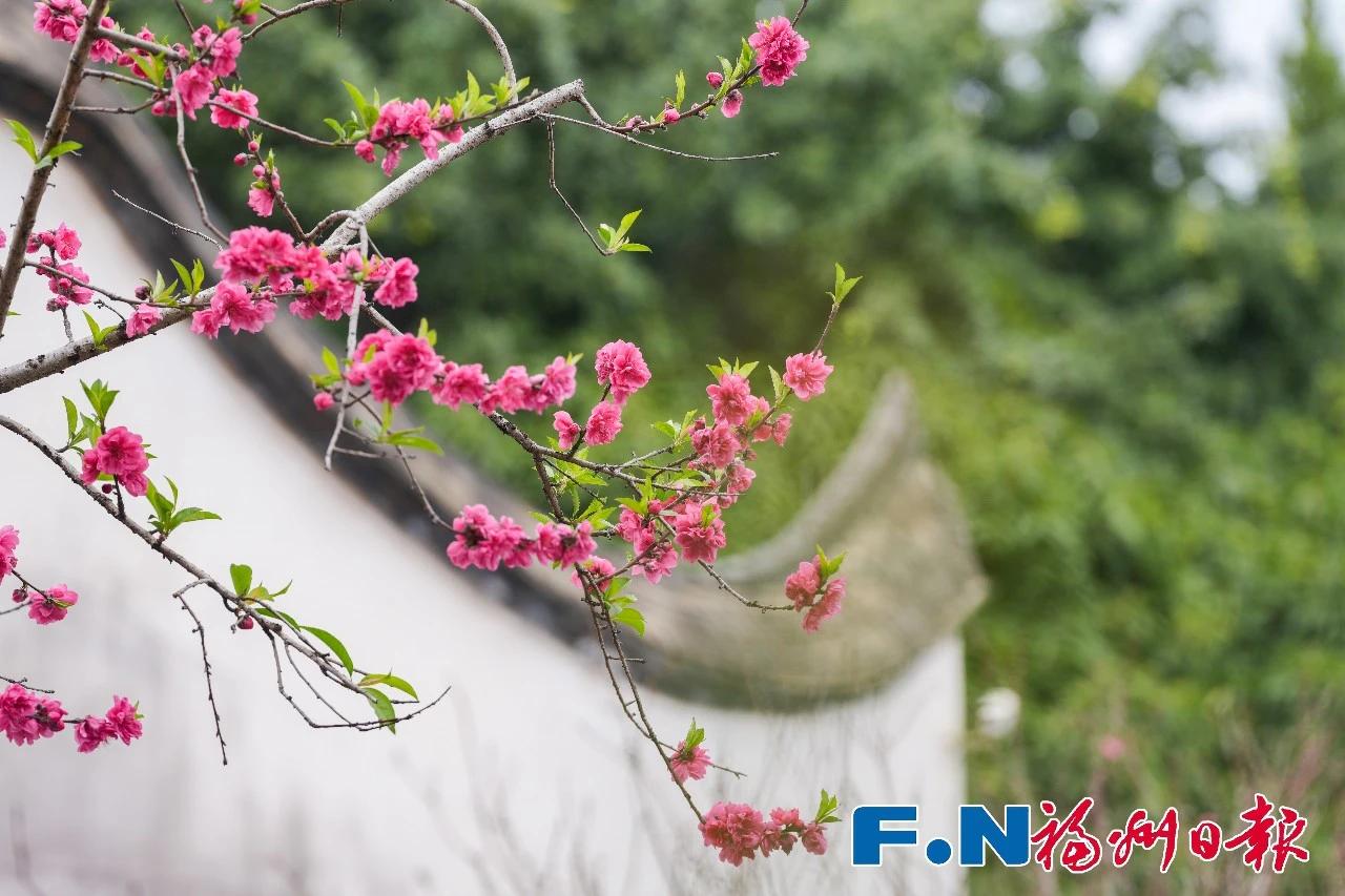 乌山春日限定！快约好友去打卡