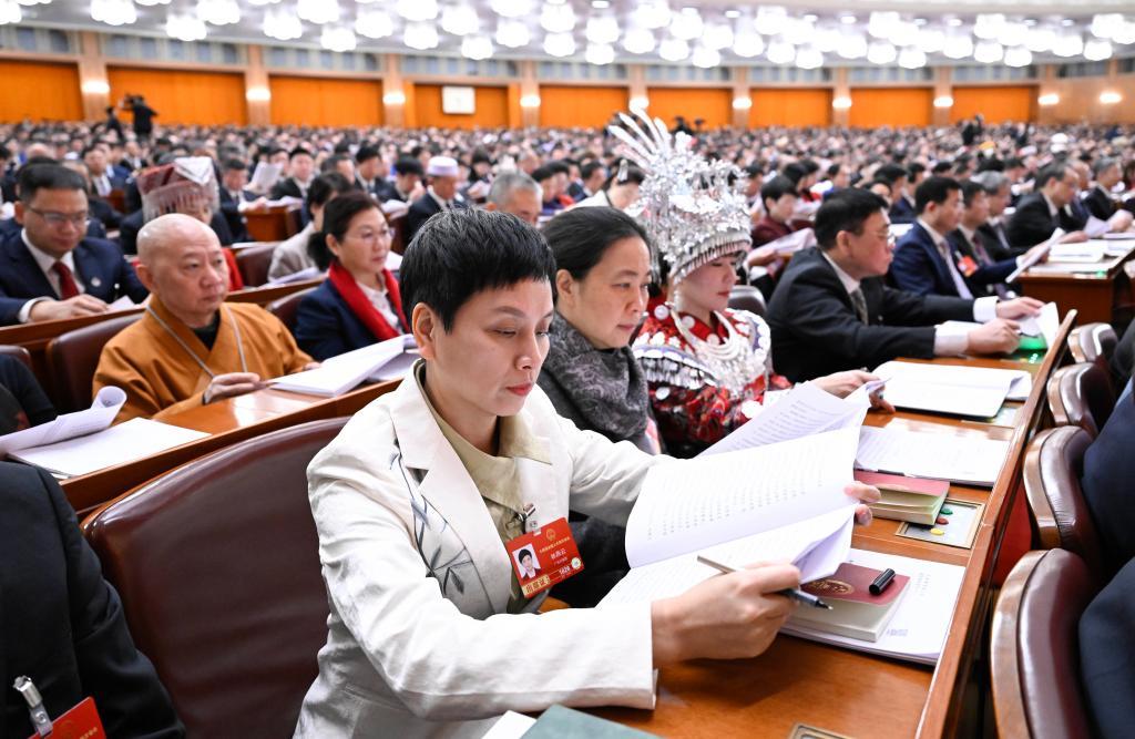 十四届全国人大四次会议举行第二次全体会议