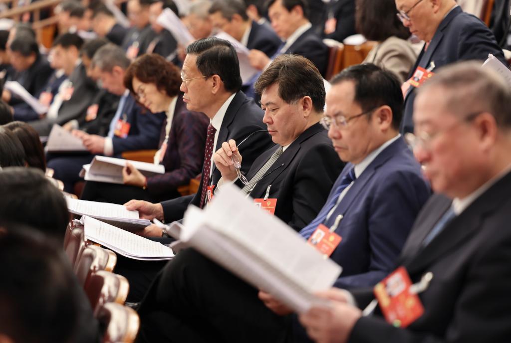 十四届全国人大四次会议举行第二次全体会议