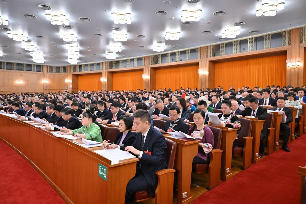 十四届全国人大四次会议举行第二次全体会议