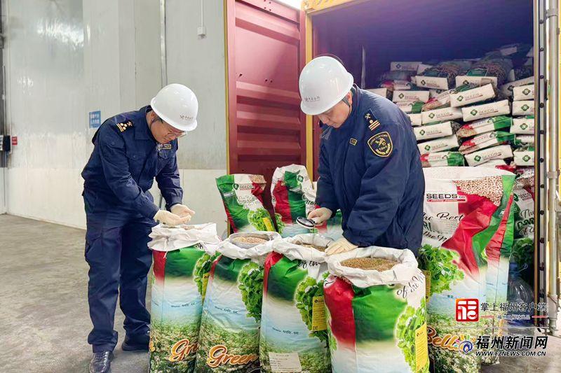 马尾海关快放良种助力春耕