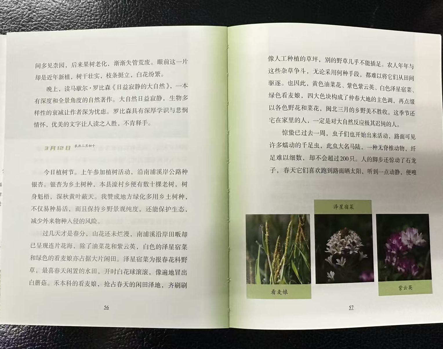 草木低语，岁月成诗——细读《一岁一枯荣》，在植物轮回中安放身心